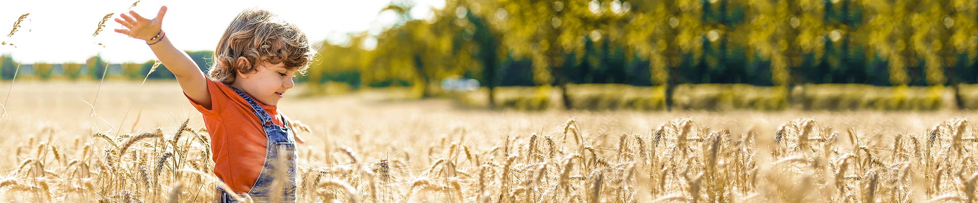 social_responsibility_banner